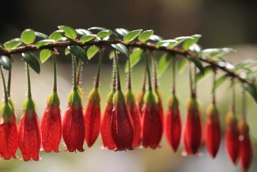 惠州惠东5私人快速借钱网，轻松解决资金难题
