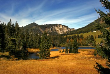 惠州惠东5民间私贷攻略：揭秘低成本借贷的秘密