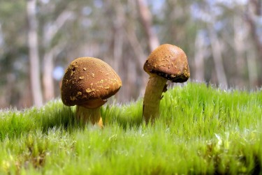 惠州惠东5私人老板放款：轻松融资的秘密通道